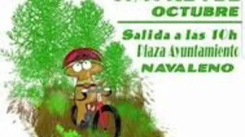 Marcha Cicloturista