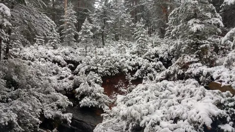 NIEVE URBIÓN 2