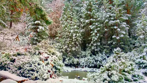 NIEVE URBION