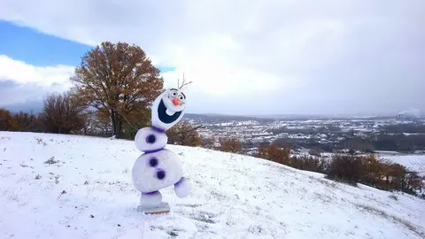 Fotopag 21