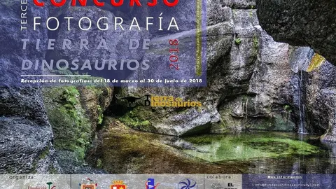 Cartel III Concurso fotografía web