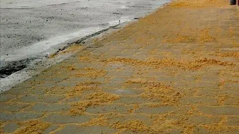 30415623_1228989537237935_1071213466071828405_n