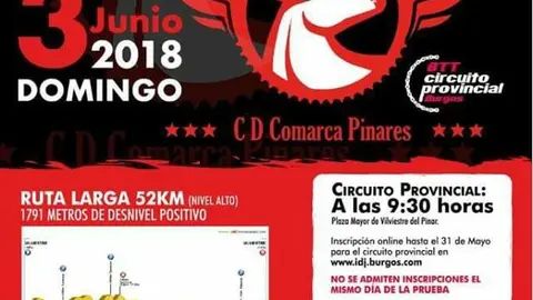 RUTABTTPINARES
