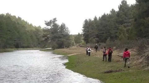 ACTIVIDAD PELENDONES 2