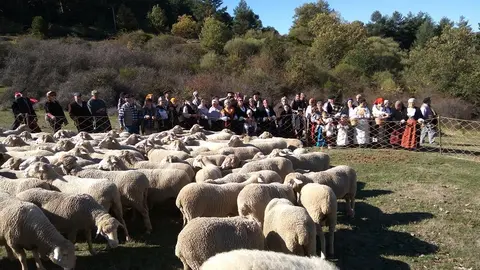 5. En el corral (Despedida 2017)