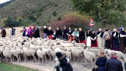 Tolbaños pastores
