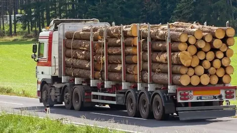 CAMION MADERA
