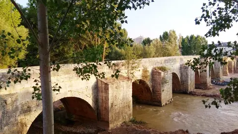 PUENTES SINGULARES
