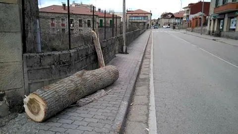 foto covaleda