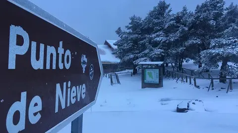 NEVADA 1