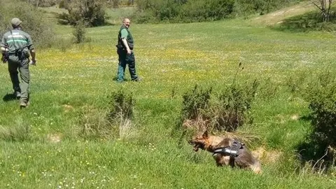 fotonoticia_20190516142421_640