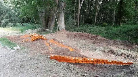 Dinosaurio destrozado