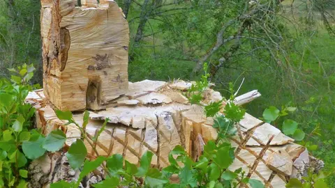 62322019_2205042866475326_5281088681900244992_o