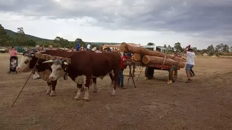 COVALEDA FERIA 3