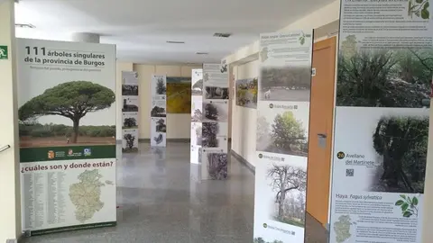 70858871_10220308620203292_3441525356907986944_n