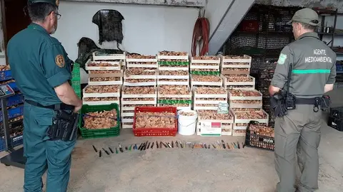 Decomiso+Lubia+25-9-19