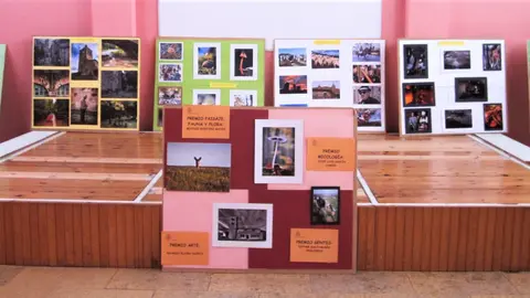 EXPOSICIÓN DE MICOLOGIA