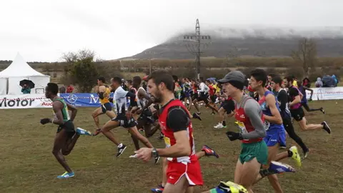 cross soria.3 reducido