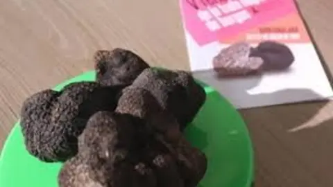 TRUFA NEGRA