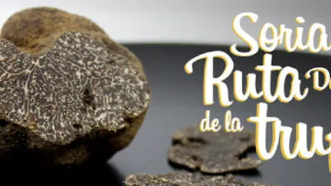 RUTA DORADA DE LA TRUFA