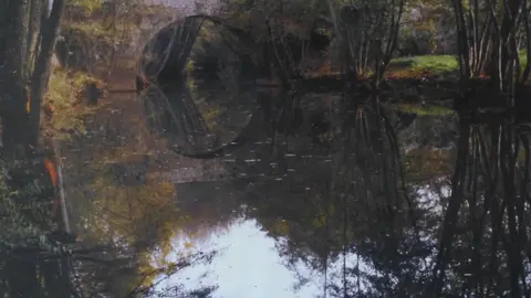 FOTO PREMIADA DE JUDITH ROJO