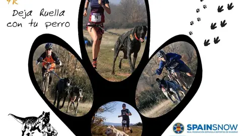 cartel_mushing_salas_2020
