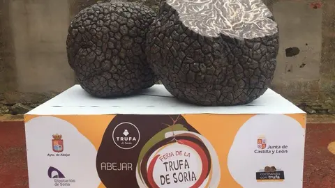 EMBLEMA TRUFA