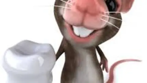EL RATONCITO PÉREZ