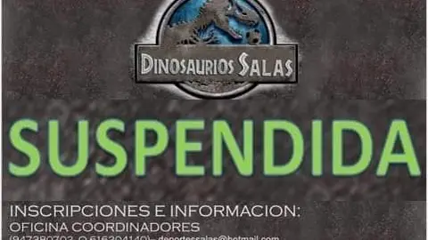 salas suspension