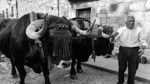 César Sanz, uno de los últimos carreteros de Aldea del Pinar