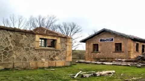 Cabezón 1