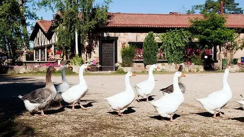El Molino