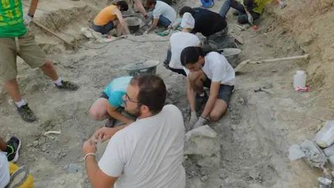 Campaña de 2019 en las excavaciones de Torrelara. Fotografías: Colectivo Arqueológico y Paleontológico de Salas (C.A.S.)