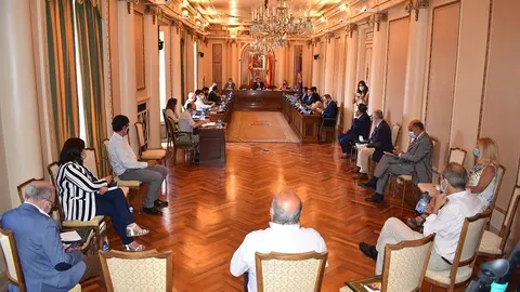 Pleno Diputación de Soria