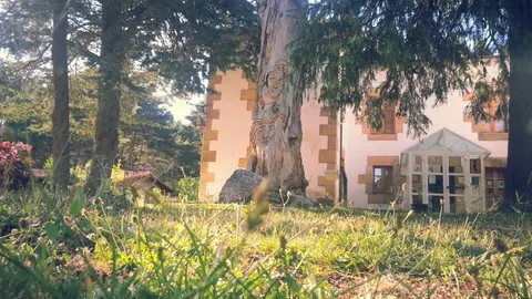 Aula del Bosque del Amogable