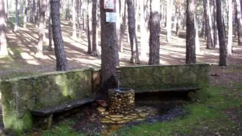 Fuente del Pino