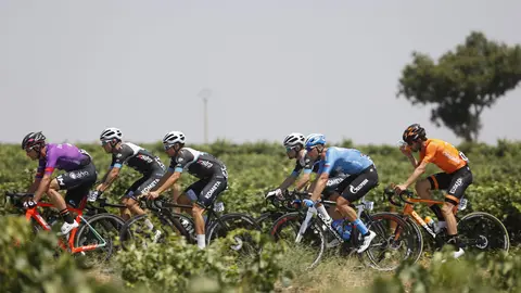 photogomez_0061151_1_small-scaled