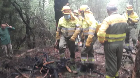 INCENDIO EN ALDEA DEL PINAR