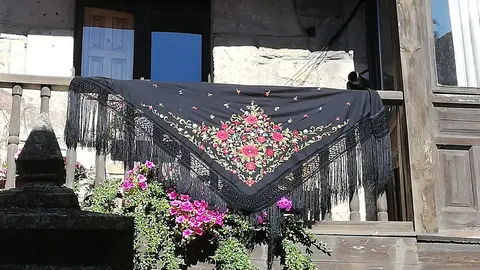 Manton en Vinuesa