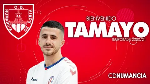 662x372a_24182759tamayo-16x9-numancia