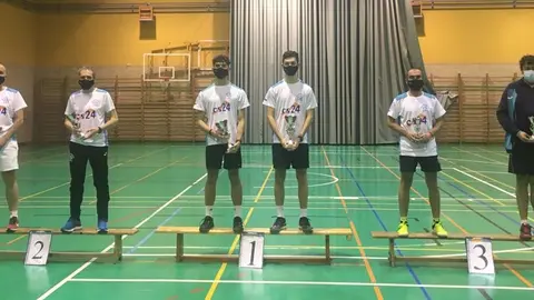 babminton provincial