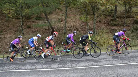 IMG_20201106_150236-scaled