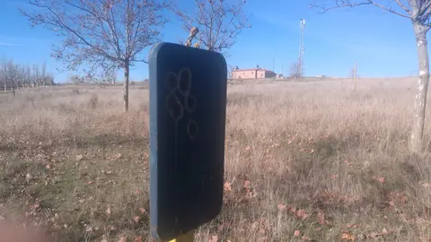 dav
