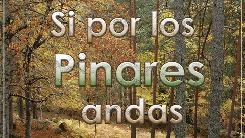 Si-por-los-pinares-andas