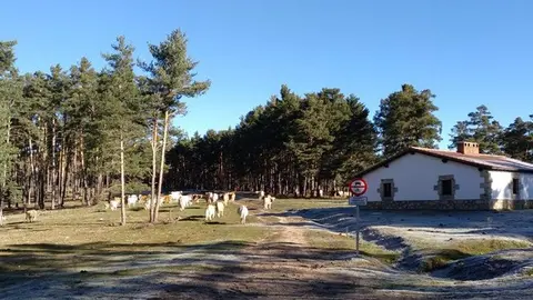 Refugio de Castroverde