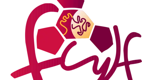 logofcyfl_crop_neg