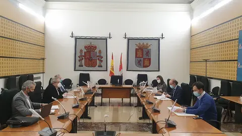 20210219.+CCyT+IMG+Reunión+Consejero+con+AFEDECYL