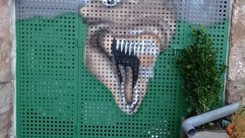 WhatsApp Image 2021-02-18 at 19.24.40