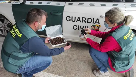 FOTO guardia civil trufas nafria ucero