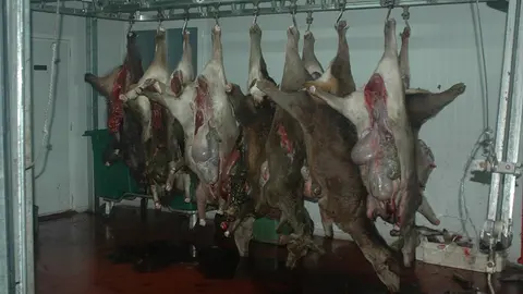 FOTO guardia civil carne caza consumo humano